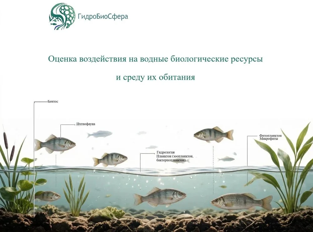 ОВБР